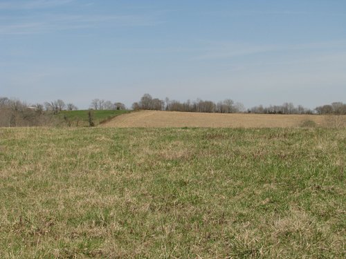 Property photo 47 - 137 Acres in 2 Tracts - 64 Tillable Acres, Potential Building Sites, Hunting